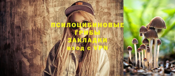 стаф Хадыженск