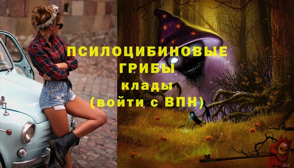 дмт Елабуга