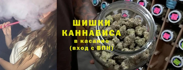дмт Елабуга