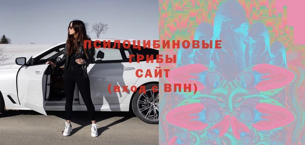 стаф Хадыженск