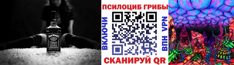Псилоцибиновые грибы мицелий  Коломна 