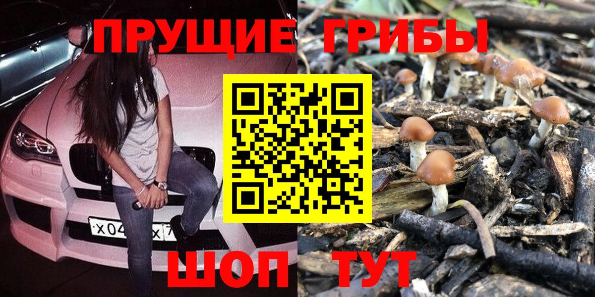 Галлюциногенные грибы Psilocybine cubensis Коломна