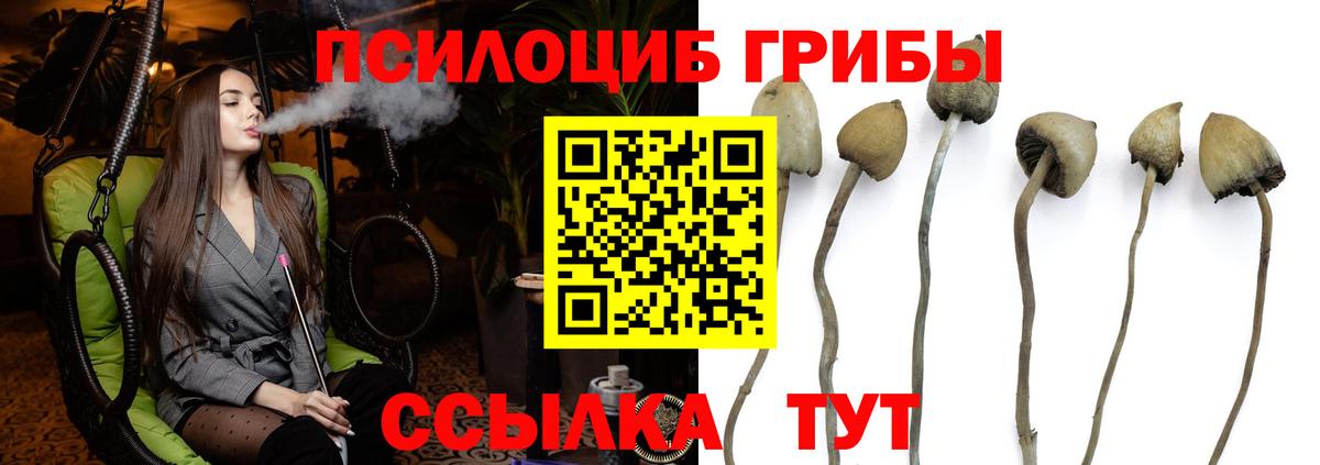 Коломна  Псилоцибиновые грибы Psilocybine cubensis  Вход с VPN 